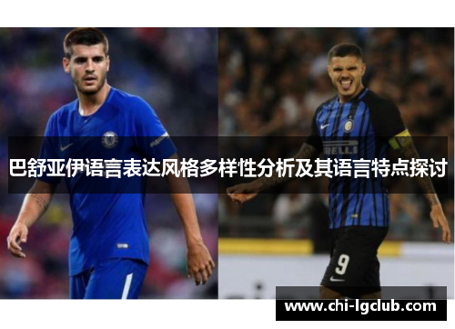 巴舒亚伊语言表达风格多样性分析及其语言特点探讨