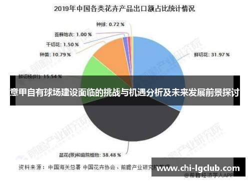 意甲自有球场建设面临的挑战与机遇分析及未来发展前景探讨