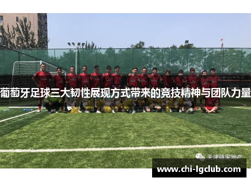 葡萄牙足球三大韧性展现方式带来的竞技精神与团队力量 葡萄牙足球三大韧性展现方式带来的竞技精神与团队力量