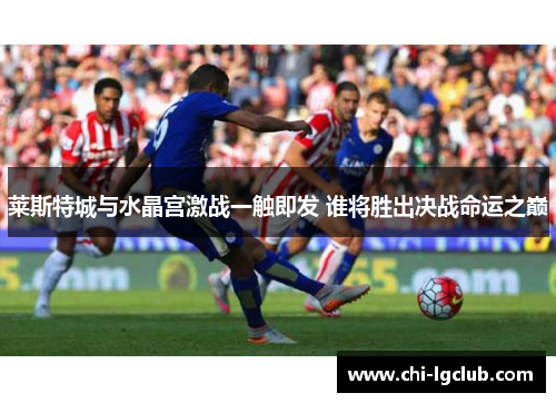 莱斯特城与水晶宫激战一触即发 谁将胜出决战命运之巅 莱斯特城与水晶宫激战一触即发 谁将胜出决战命运之巅