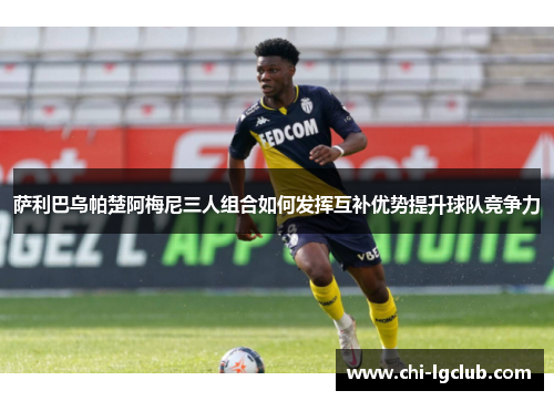 萨利巴乌帕楚阿梅尼三人组合如何发挥互补优势提升球队竞争力