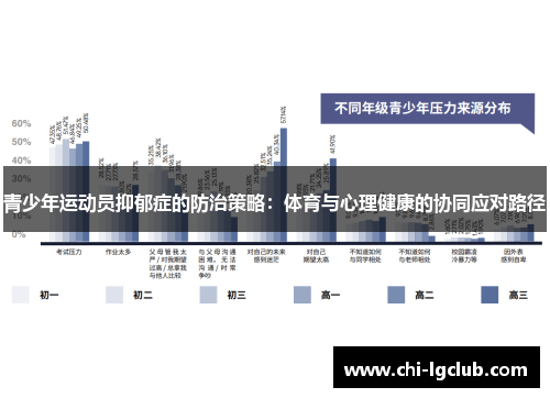 青少年运动员抑郁症的防治策略：体育与心理健康的协同应对路径
